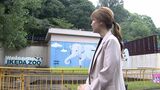 「もう1度メリーを見たい」池田動物園で愛されたゾウのメリー クラファンで等身大のイルミネーション制作【岡山】|TBS NEWS DIG