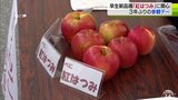 リンゴ新品種“紅はつみ”「堅みがあっていい」農家も太鼓判　|TBS NEWS DIG