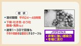 ノロウイルス集団感染あいつぐ 佐賀県では宅配弁当を食べた13人に食中毒の症状 家族が感染したら注意すべきこと | 福岡のニュース|RKB NEWS|RKB毎日放送
