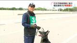 嘱託警察犬の競技会　日頃の訓練の成果を発揮「行方不明者を発見したい」鹿児島市|TBS NEWS DIG
