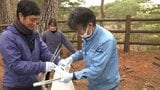 ゴールデンウィークを前に市民が観光地の清掃活動 岩手・宮古市|TBS NEWS DIG