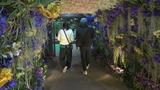 芳醇な香りが幻想的な世界を演出 洋ラン約2万点を展示 「沖縄国際洋蘭博覧会2025」|TBS NEWS DIG