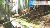 「竹害」を知っていますか…放置した竹林が景観悪化や災害につながるおそれも 学生ボランティアが整備 長野・飯田市|TBS NEWS DIG