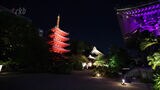 博多の旧市街や作家の作品をライトアップ イベントを前に内覧会開催|TBS NEWS DIG