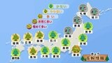 春本番の3連休 各地で春一番の可能性 関東でスギ花粉ピーク突入か 融雪災害・寒暖差・強風・黄砂・花粉・乾燥に注意|TBS NEWS DIG