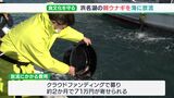 「未来の子どもがおいしく食べられるように」天然親ウナギを放流　クラウドファンディングで費用募る＝静岡・浜名湖|TBS NEWS DIG