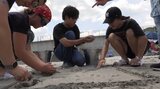 きれいに見える砂浜にも小さなプラスチックの破片 夏休み中の中高生が合宿で海の環境を学ぶ 岩手・釜石市|TBS NEWS DIG