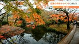 紅葉スポット「岡城跡」「金鱗湖」「青の洞門」観光客でにぎわう 大分 | 大分のニュース|OBS NEWS|大分放送
