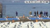 「髪の毛が生えていておかしいぞと思った」海に浮いた女の子の赤ちゃん発見される その後死亡確認【愛媛・松山市】 | 愛媛のニュース - Nスタえひめ|あいテレビは6チャンネル