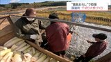 のどかな田園風景に真っ白に敷き詰められた大根 国富町で「千切り大根づくり」始まる | MRTニュース | MRT宮崎放送