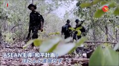 戦闘激化のミャンマー、国境地帯で増える避難民　ほぼ進まぬ和平計画| TBS CROSS DIG with Bloomberg