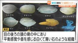 7年間魚を食べ続け101種類の“耳石”集める 県内初の高校生「三つ星耳石ハンター」誕生 宮城|TBS NEWS DIG
