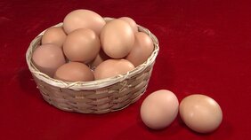 卵価格の高止まり年内続く見通し　鳥インフルに「月見」メニューの需要増も影響|TBS NEWS DIG