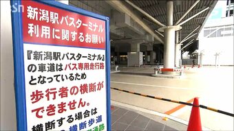 苦情相次ぐ 新潟駅新バスターミナルに「横断歩道の設置は困難」新潟市|TBS NEWS DIG