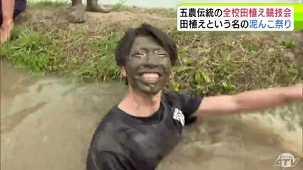 持ってけ泥棒！ ジークラック 泥棒スティック スパイダー グラスハイブリッドモデル