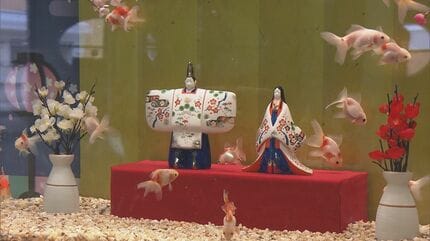 ひな人形の横を金魚が…人形のまわりに金魚を飾る江戸時代の風習に