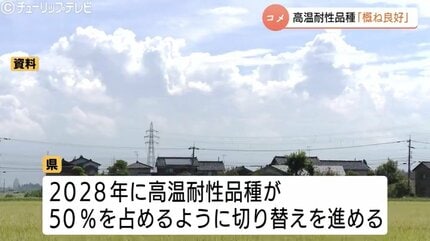 富山県産米「てんたかく」「富富富」は概ね良好 コシヒカリに白未熟粒