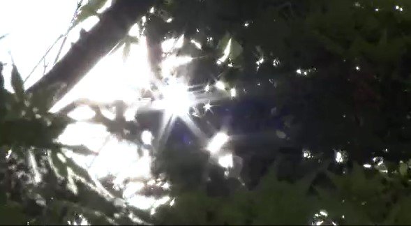 「夏が怖い…！」長野市の善光寺も「日差しがあって暑い…！」長野24.7度、飯山24.3度など5月から6月並みの陽気に…半袖の人も目立つ|TBS NEWS DIG