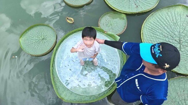 海地獄でお盆恒例の「オオオニバス乗り」　ドキドキ…子どもたちが挑戦　大分・別府市|TBS NEWS DIG