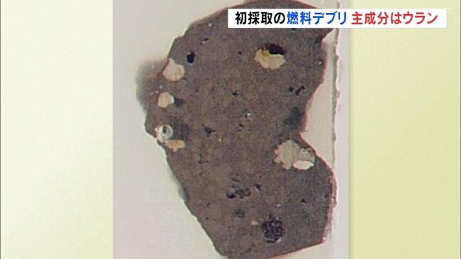 初採取の燃料デブリ、人力で砕ける硬さと判明　主成分はウラン　東京電力福島第一原発2号機|TBS NEWS DIG