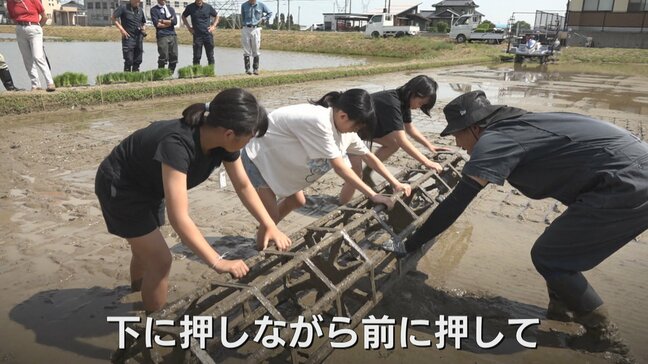伝統的な田植え体験　小学5年生が昔ながらの道具「ころがし」で泥だらけ　秋の収穫から販売までを学ぶ総合学習　富山|TBS NEWS DIG