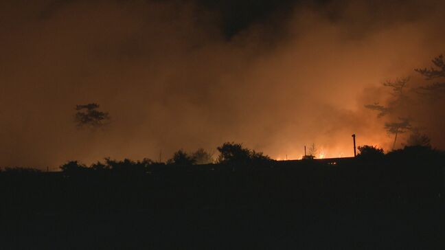 「たばこ火の可能性高い」北陸自動車道近くの保安林が焼けた火災 現場で吸い殻見つかる 石川・加賀市|TBS NEWS DIG