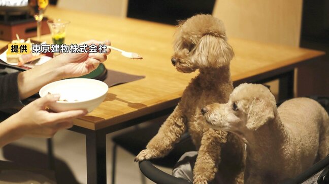 愛犬と泊まれるホテル「レジーナリゾート」大分・由布院に開業へ 食事も一緒に、全室温泉付き|TBS NEWS DIG
