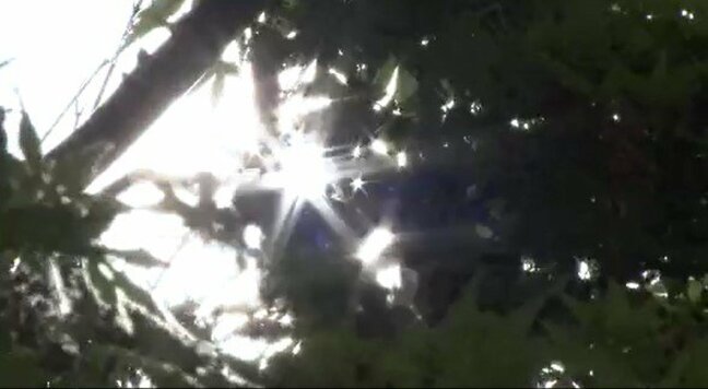 「夏が怖い…！」長野市の善光寺も「日差しがあって暑い…！」長野24.7度、飯山24.3度など5月から6月並みの陽気に…半袖の人も目立つ|TBS NEWS DIG