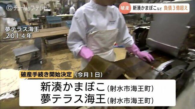 新湊かまぼこなど２社が破産手続き　負債総額約3億2400万円　ホタルイカの不漁など響く　富山|TBS NEWS DIG