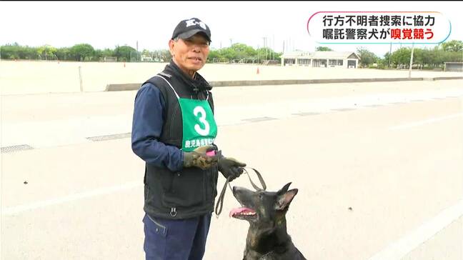 嘱託警察犬の競技会 日頃の訓練の成果を発揮「行方不明者を発見したい」鹿児島市|TBS NEWS DIG