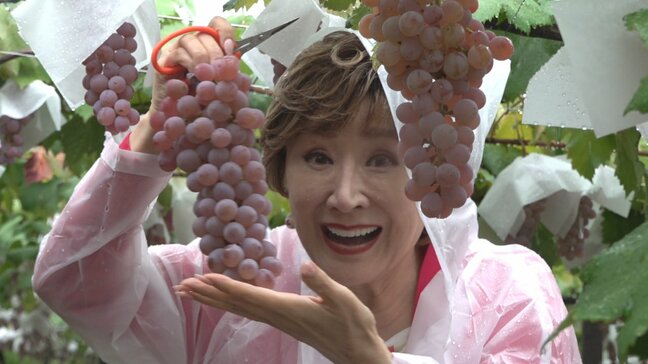 演歌界の大御所、小林幸子さん 「ラスボスの雫」ワインのブドウ収穫 山梨・甲州市|TBS NEWS DIG