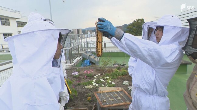 「全国的なミツバチの問題とかも解決できる一歩となったら」絶滅の危機からミツバチを守る 静岡の高校生たちの奮闘|TBS NEWS DIG