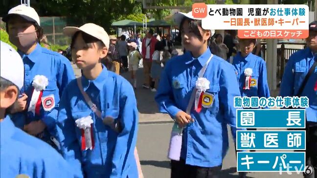 「皮膚も一緒に切ってしまいそうでこわかったけど大丈夫だった」子どもたちが動物園のお仕事体験　愛媛・とべ動物園|TBS NEWS DIG