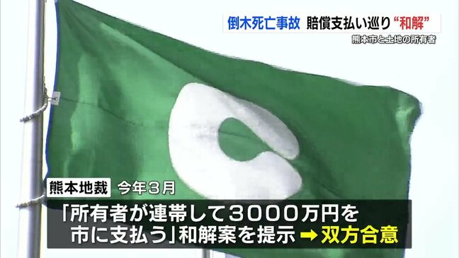 8年前の倒木死亡事故 熊本市と土地所有者が賠償めぐり和解へ|TBS NEWS DIG