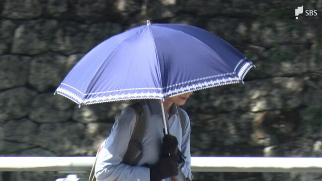 暑かった！川根本町で32.3℃ 静岡市で31.8℃ 静岡県内5か所で2025年シーズン初の真夏日を記録 熱中症に注意|TBS NEWS DIG