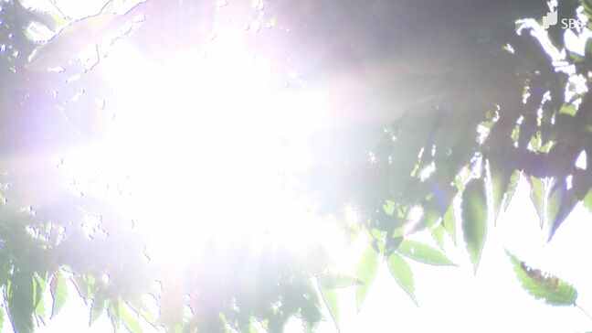 静岡市で36.9℃ 2025年初の猛暑日(6月17日午前11時現在)|TBS NEWS DIG