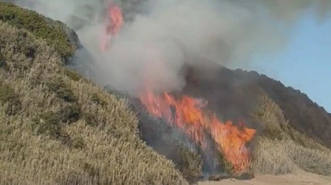 山火事約20時間経っても鎮火せず…ヘリで放水も 消火活動続く「山が燃えている」と通報 災害対策本部を設置 愛知・豊橋市|TBS NEWS DIG