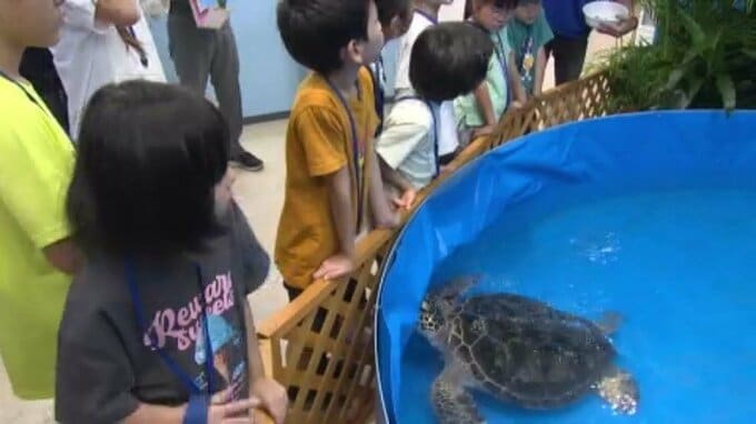 「タツノオトシゴはオスが産卵?」驚きの生態に小学生興味津々 いよてつ高島屋で水族館ツアー 愛媛|TBS NEWS DIG