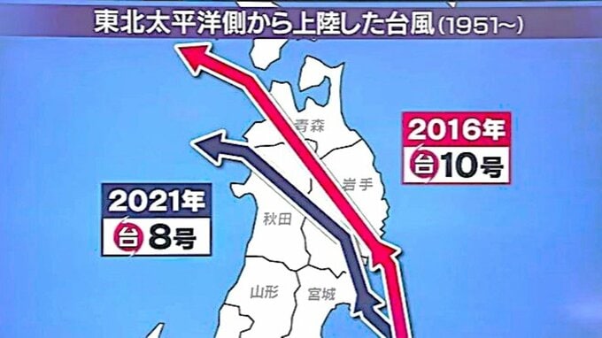 【台風・気象予報士解説】台風5号・13日に「熱帯低気圧」に変わるも『ゆっくり居座り』影響が…　津軽を中心に200ミリ超える『警報級の大雨』の可能性も【青森県】|TBS NEWS DIG