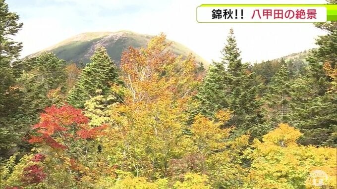 錦秋の八甲田　今が見頃　自然が織りなす“秋の絶景”　青森県|TBS NEWS DIG