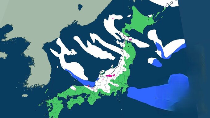 【大雪情報】30日にかけて大雪のおそれ　東北・北陸70cm、近畿60cm、東海40cm予想　東京23区でも積雪か　日本海側は交通障害に警戒【最新 雪雨シミュレーション】　|　大分のニュース｜OBS NEWS｜大分放送