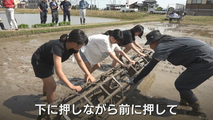 伝統的な田植え体験　小学5年生が昔ながらの道具「ころがし」で泥だらけ　秋の収穫から販売までを学ぶ総合学習　富山　|　富山のニュース｜天気・防災｜チューリップテレビ