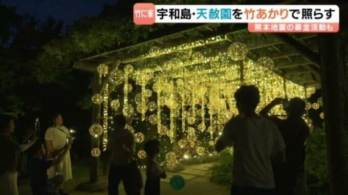 竹の灯籠が照らす幻想夜景…伊達家ゆかりの名勝「天赦園」で初企画｢竹に雀の竹あかり｣【愛媛・宇和島】|TBS NEWS DIG