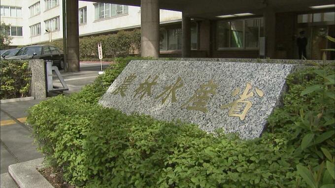 普天間基地の辺野古移設にともなうサンゴ移植　農水省が県に「許可」を勧告　|　沖縄のニュース｜RBC 琉球放送