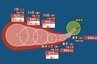 【台風情報】台風13号（ドルフィン）が発生　31日（金）には「非常に強い勢力」に発達へ　中心気圧925hPa　最大瞬間風速は70m/sと予測（27日午後6時50分・気象庁発表）今後の進路は？勢力は？　|　SBC NEWS | 長野のニュース | SBC信越放送