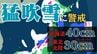 北海道は”猛吹雪”に厳重警戒…19日朝までに40cm降雪か　北～東日本日本海側でも大雪、東北・北陸も30cm降雪予想【雪と雨のシミュレーション】　|　富山のニュース｜天気・防災｜チューリップテレビ