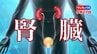 「慢性腎臓病」危険度チェック！…新常識「腎臓と運動の関係」とは？腎臓が衰える原因と慢性腎臓病対策　|　名古屋・愛知・岐阜・三重のニュース【CBC news】 | CBC web