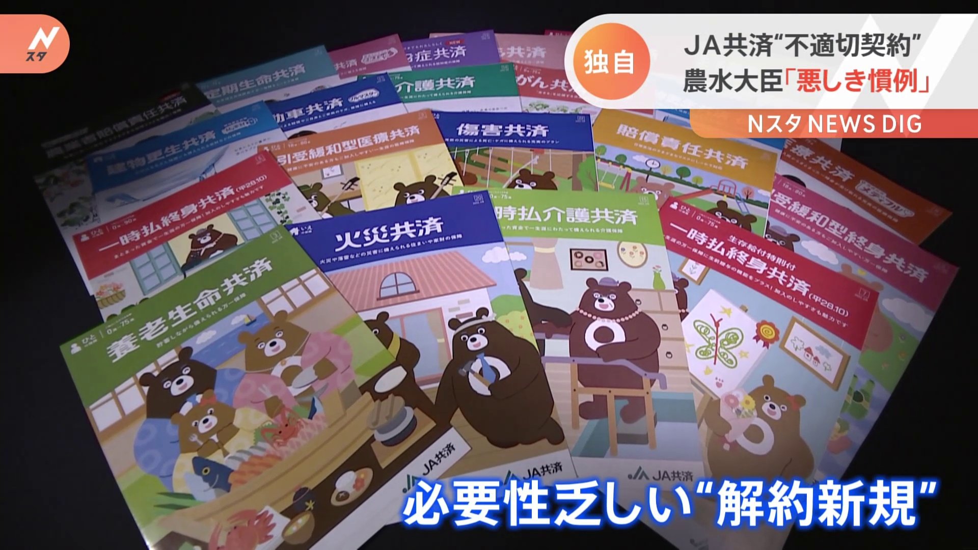 活動歴および当時の関連ビジュアル記録