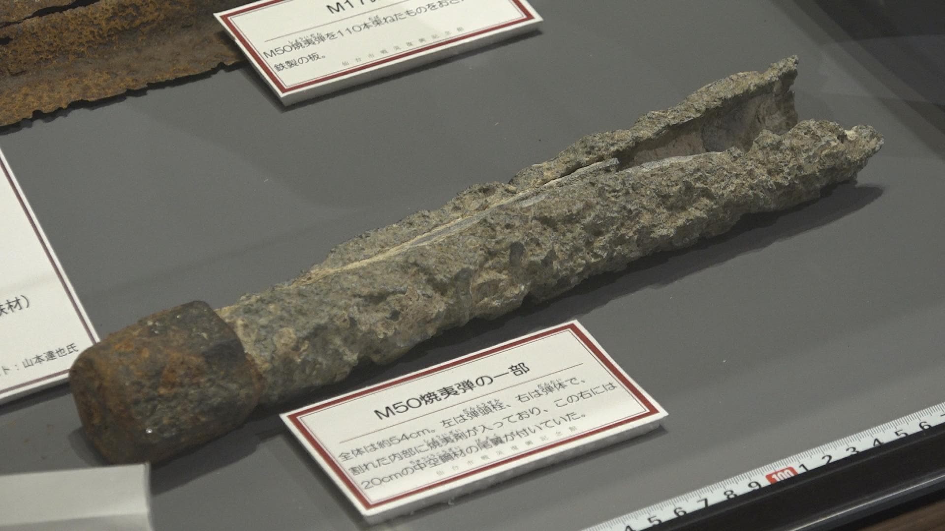 うじが膿を食べる音がするんですよピチャピチャと」炎まき散らし人を