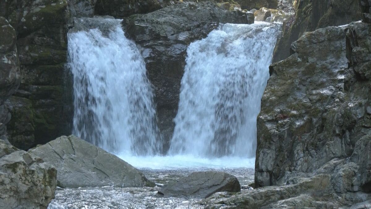 御嶽山のふもと 岐阜･下呂市で｢飛騨小坂滝開き｣ 国定公園指定で観光の活性化に期待 今シーズン約3万2000人来場見込み